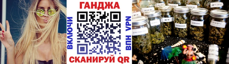 как найти закладки Мышкин МАРИХУАНА SATIVA & INDICA